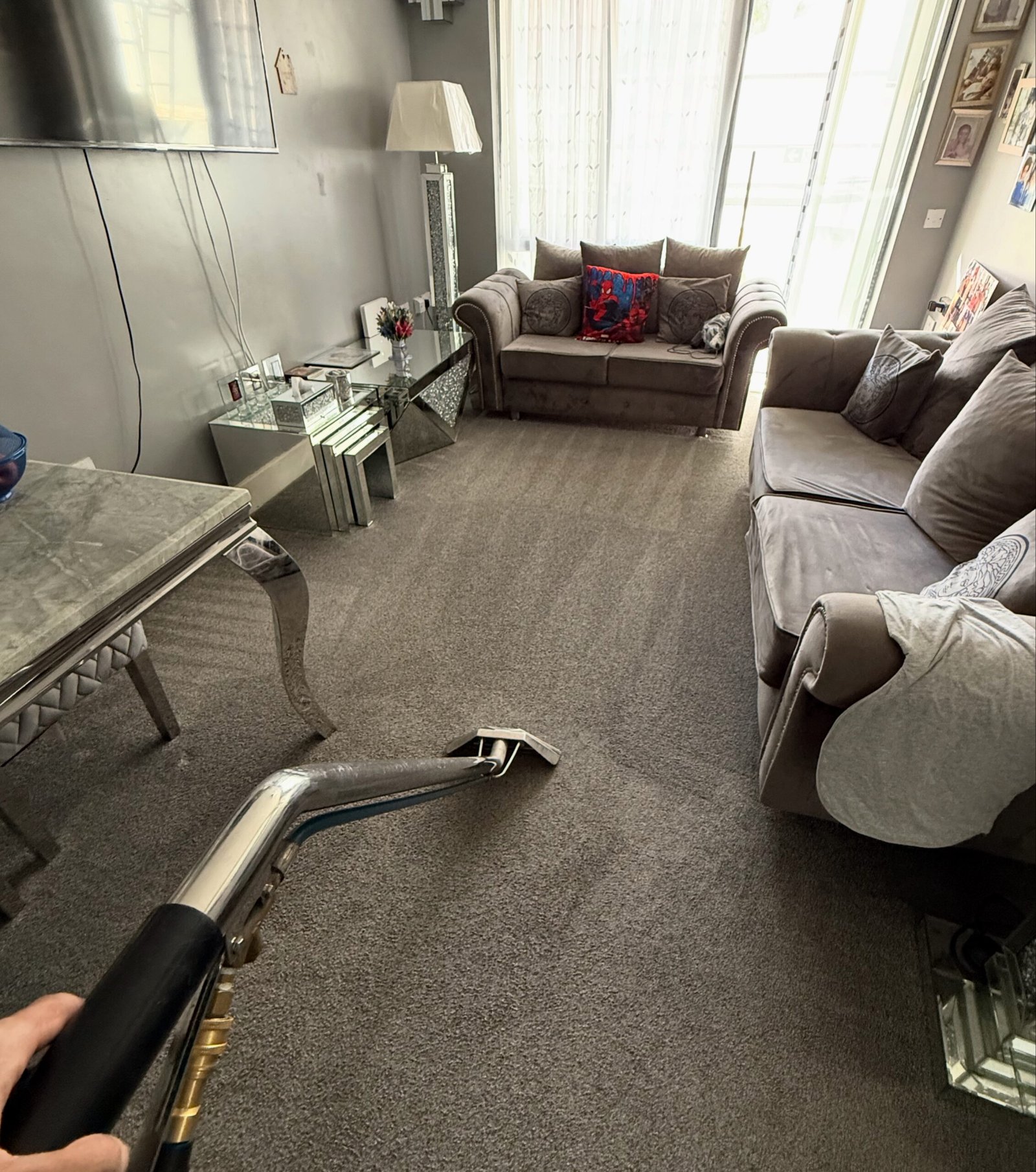 Professional carpet cleaning results