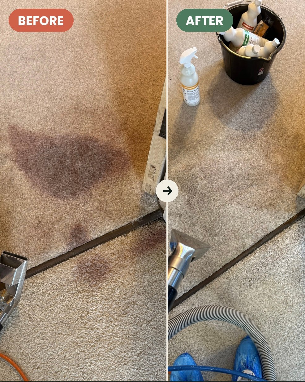 Cleaning work by Pristine