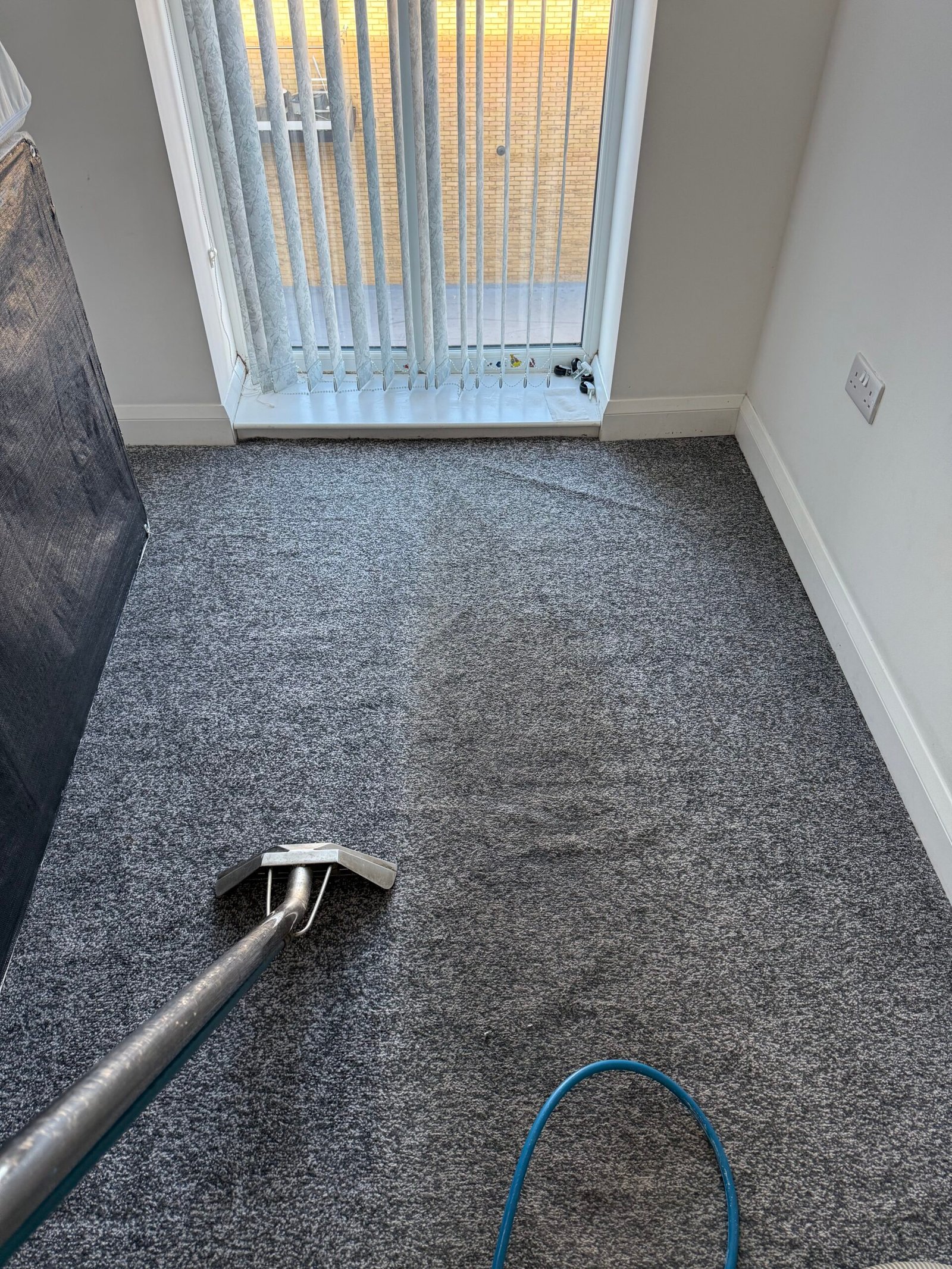 Carpet and upholstery cleaning