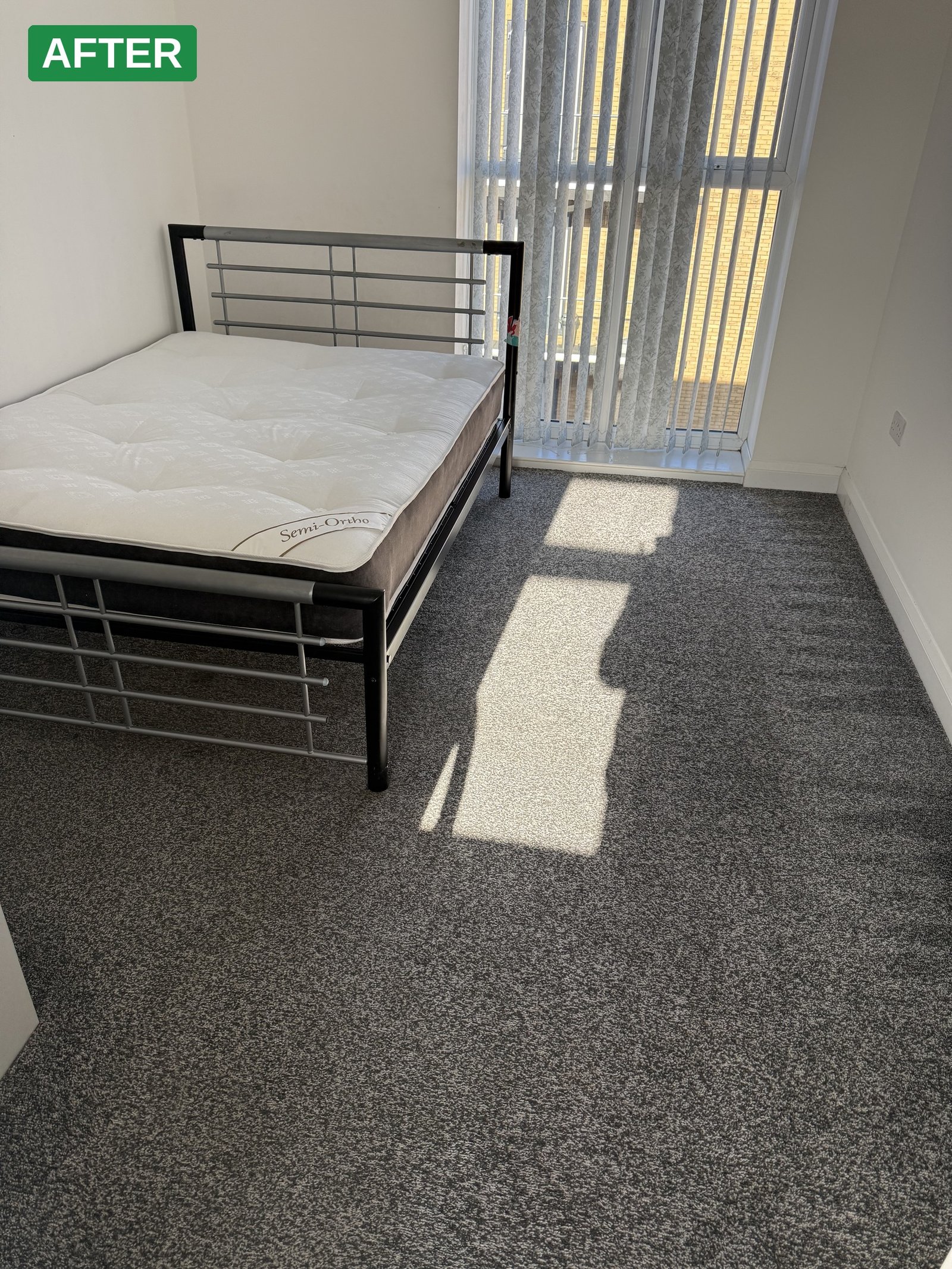 Carpet care by Pristine
