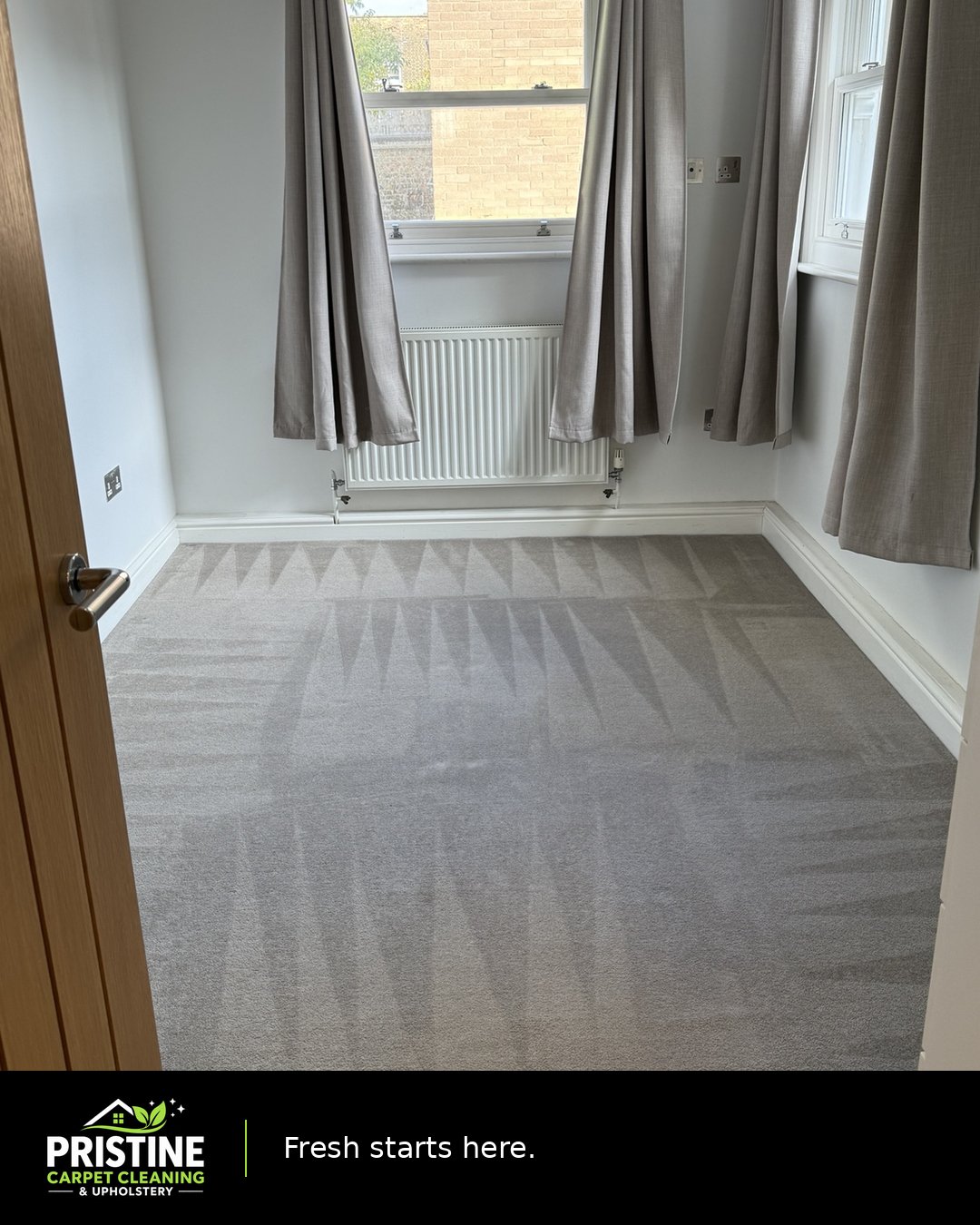 Carpet cleaning results