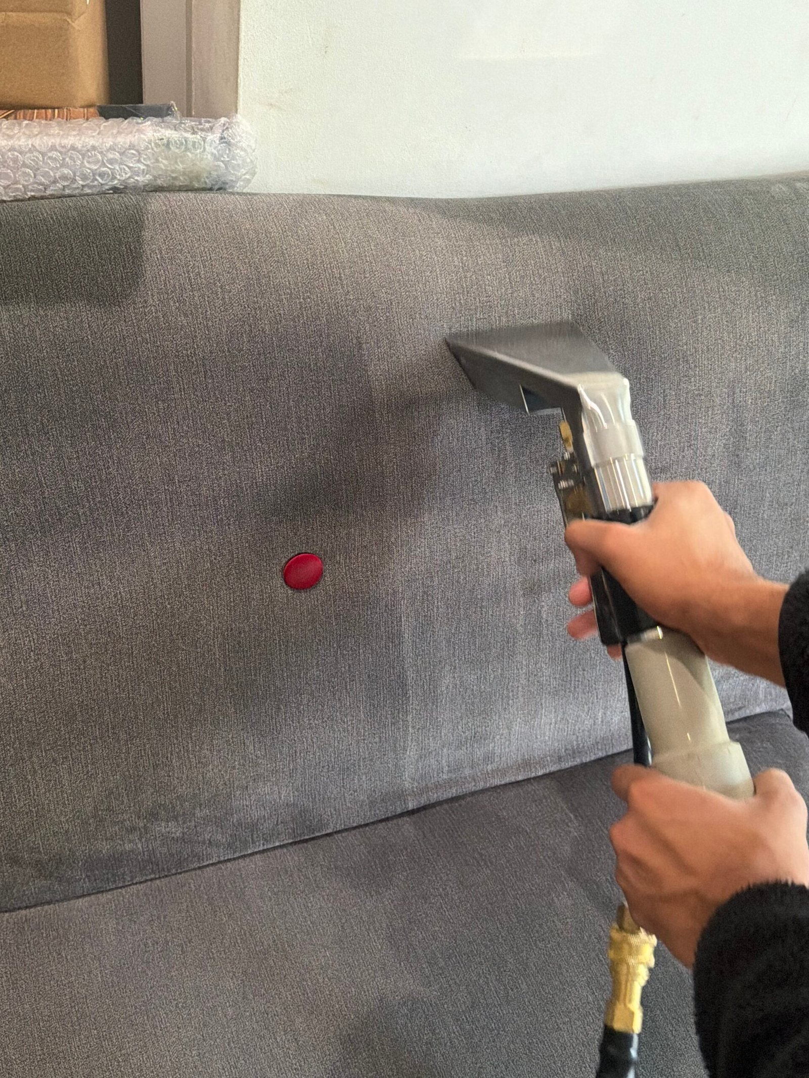 Professional carpet cleaning