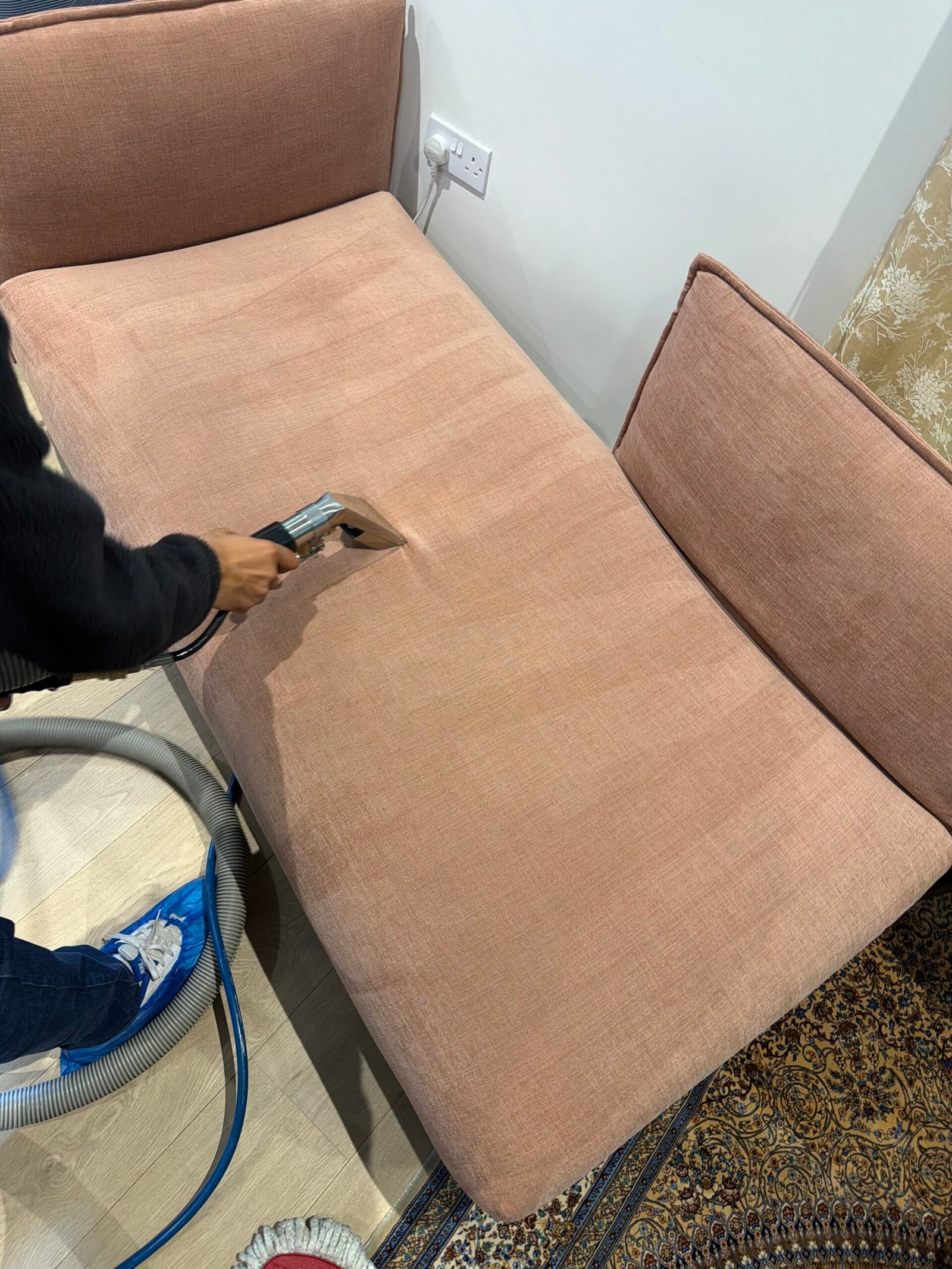 Carpet cleaning work by Pristine