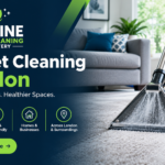 cleanu